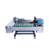 CV-1000-FB / Continuous Vacuum Packaging Machine